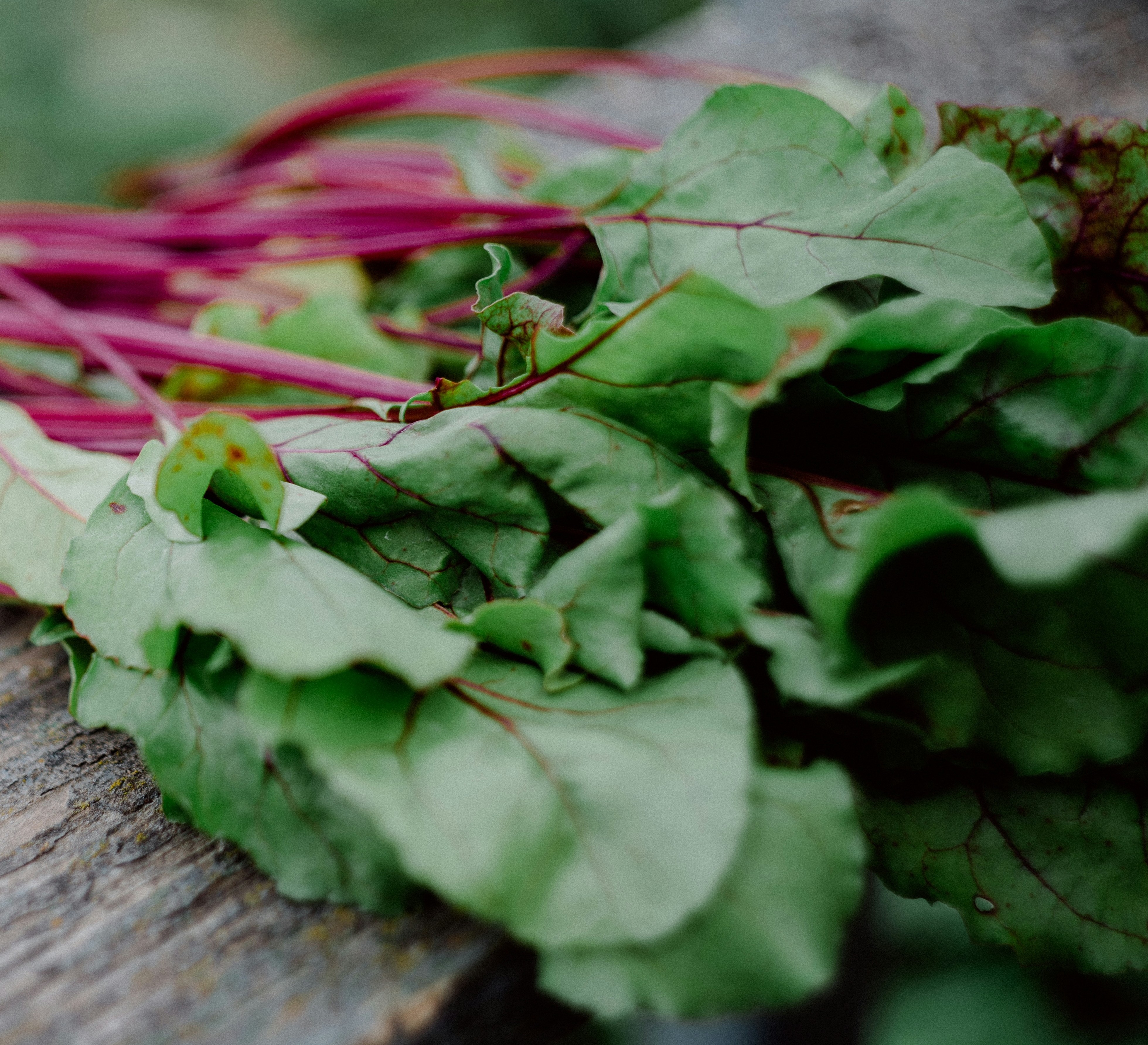 Flat lay of high-risk crops, leafy greens and root vegetables