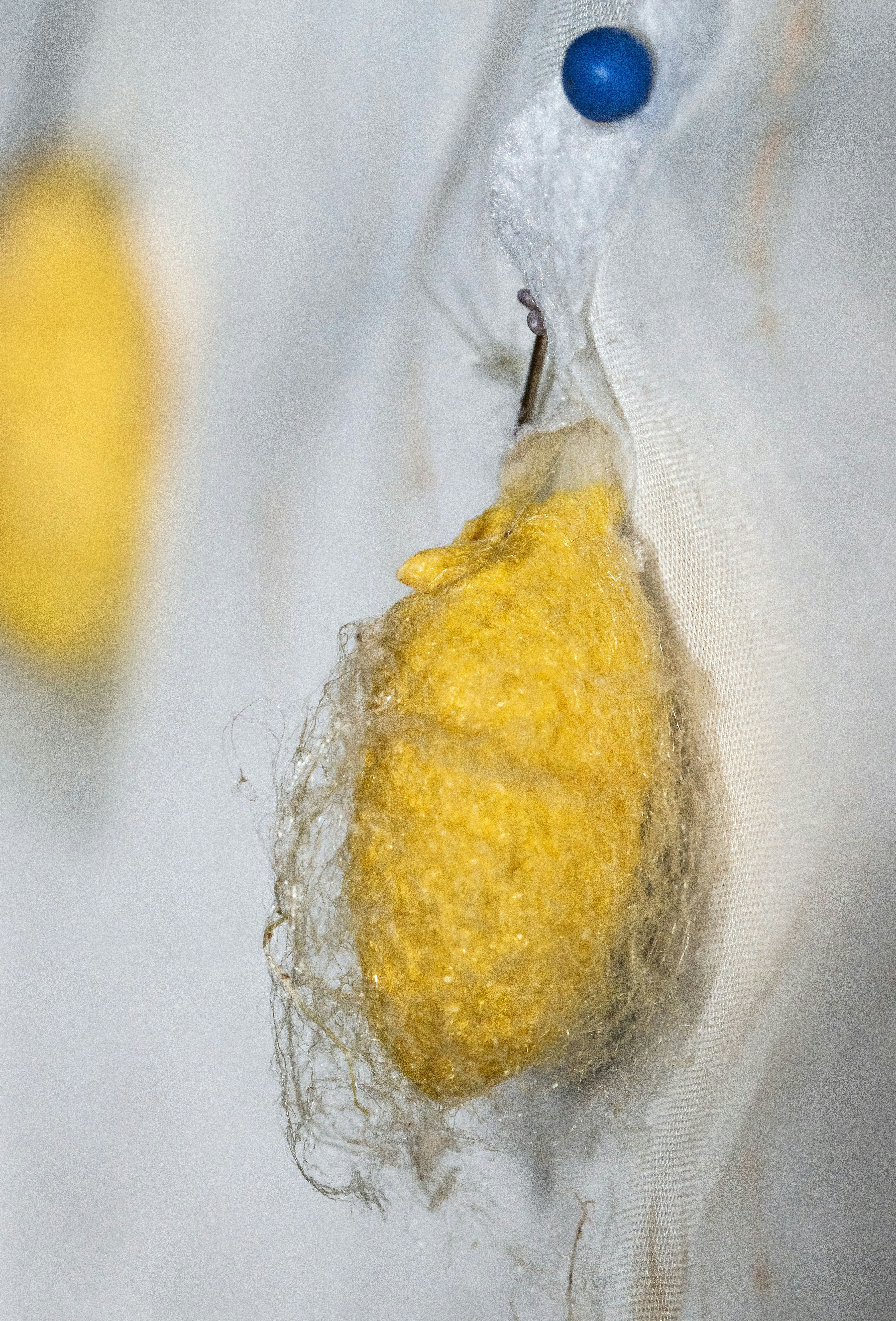 Close-up of silk fabric texture, subtle sheen