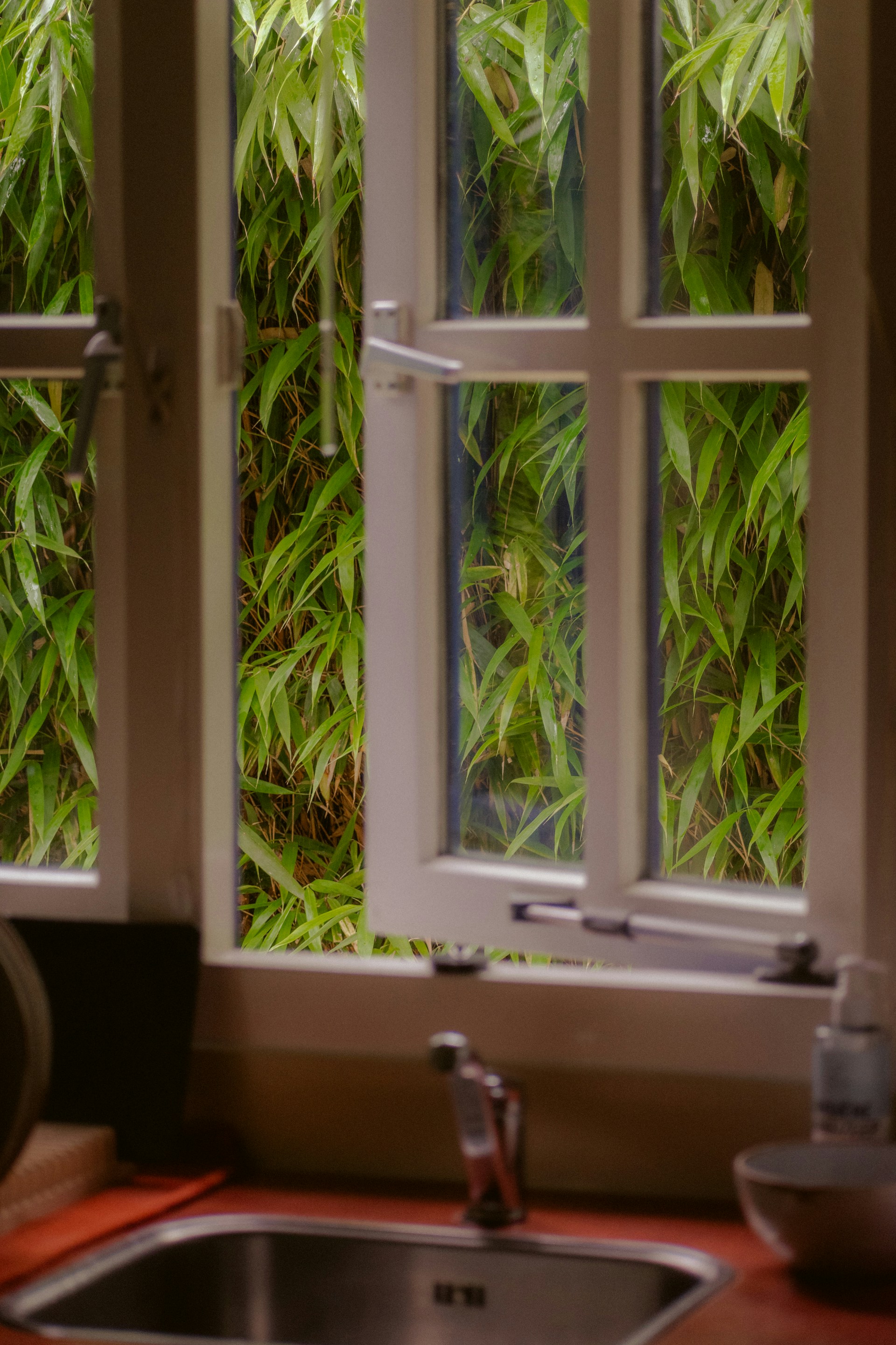 An open window with a sheer curtain moving in the breeze, plants on the sill, soft morning light