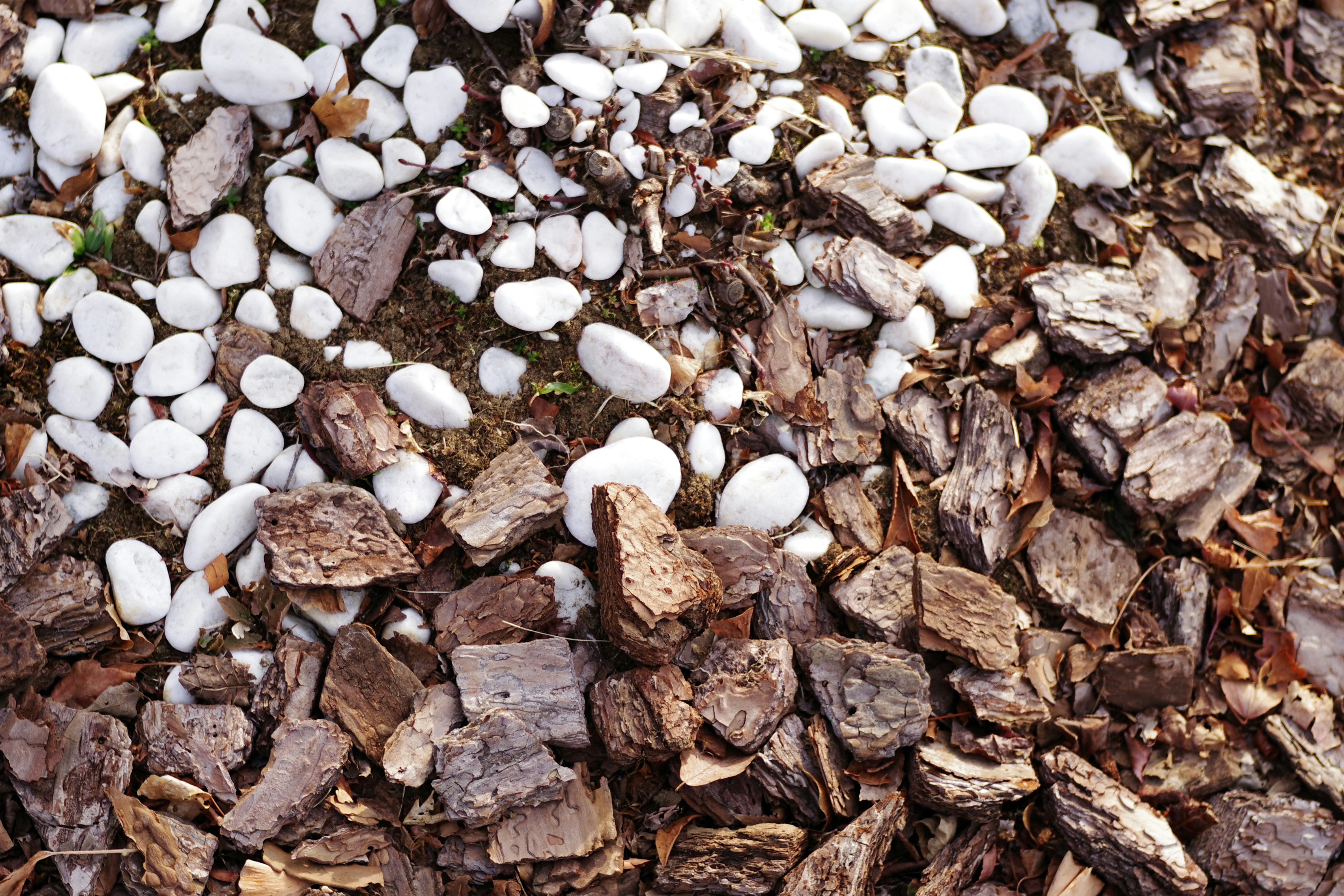 Small piles of natural soil amendment materials on a dark surface, overhead