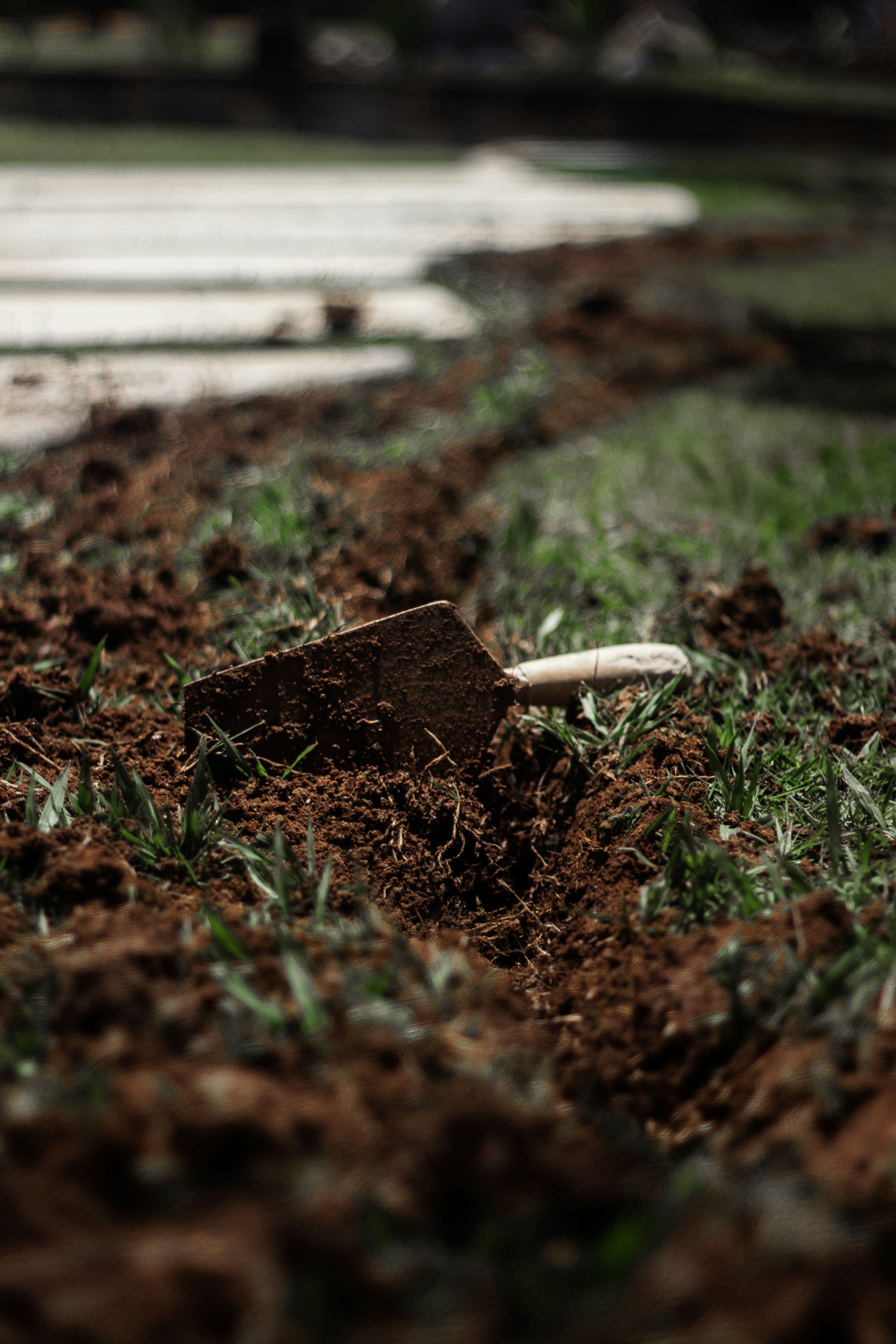 Extreme close-up of rich dark compost, texture and structure clearly visible
