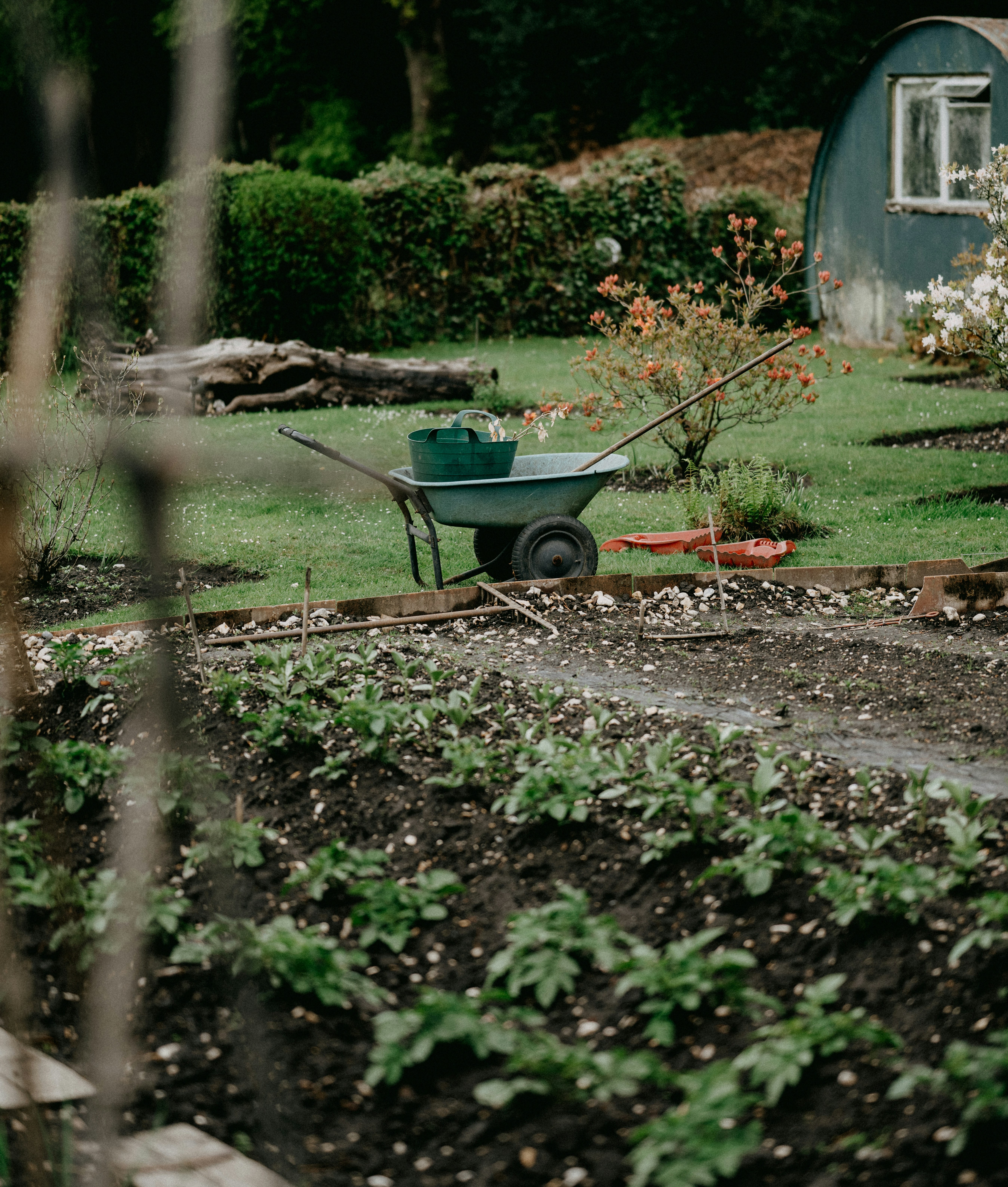 Cross-section of a garden bed showing topsoil and subsoil layers at depth